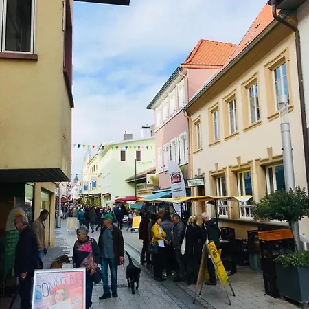 Apartmán Boutique-ferienwohnung Im Alten Weinhaus Moser Grünstadt