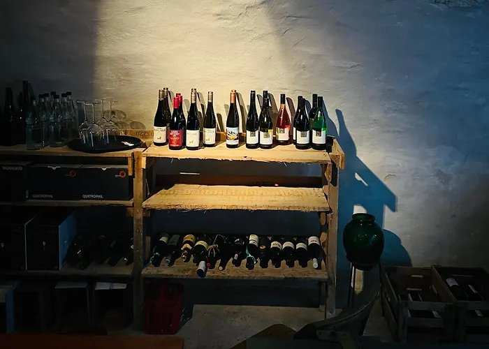 Boutique-ferienwohnung Im Alten Weinhaus Moser דירה *